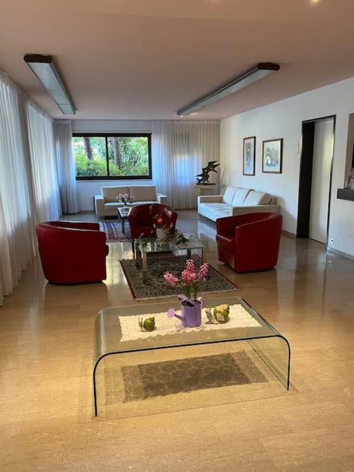 Ascona: Residenza Sabrina,App 2.5 Locali E Piscina Apartment Exterior foto
